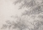 Toile Baywood