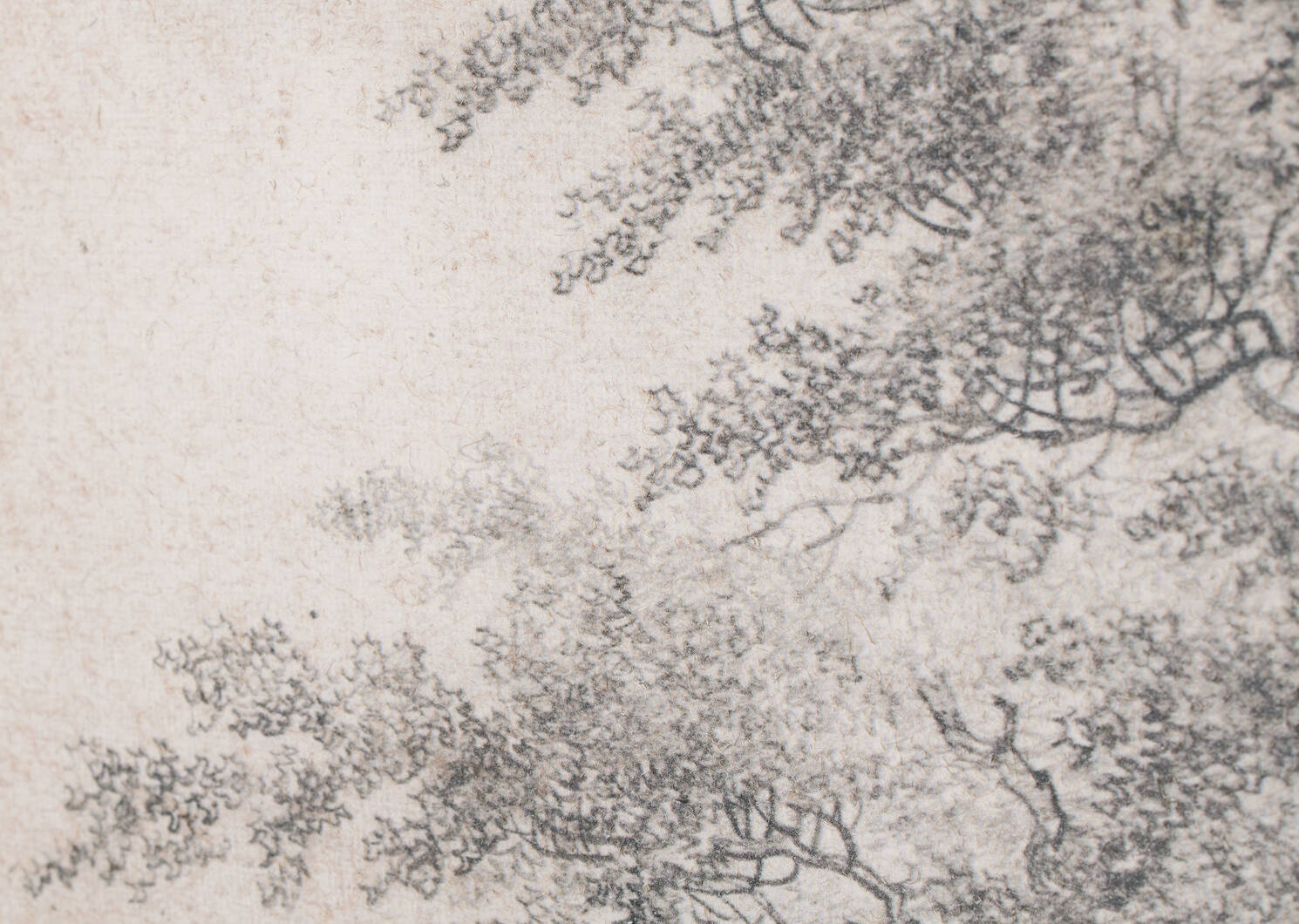Toile Baywood