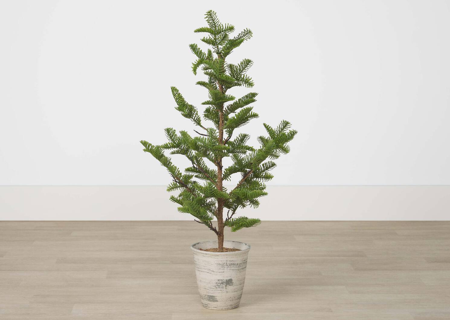 Evergreen Tree Potted Large