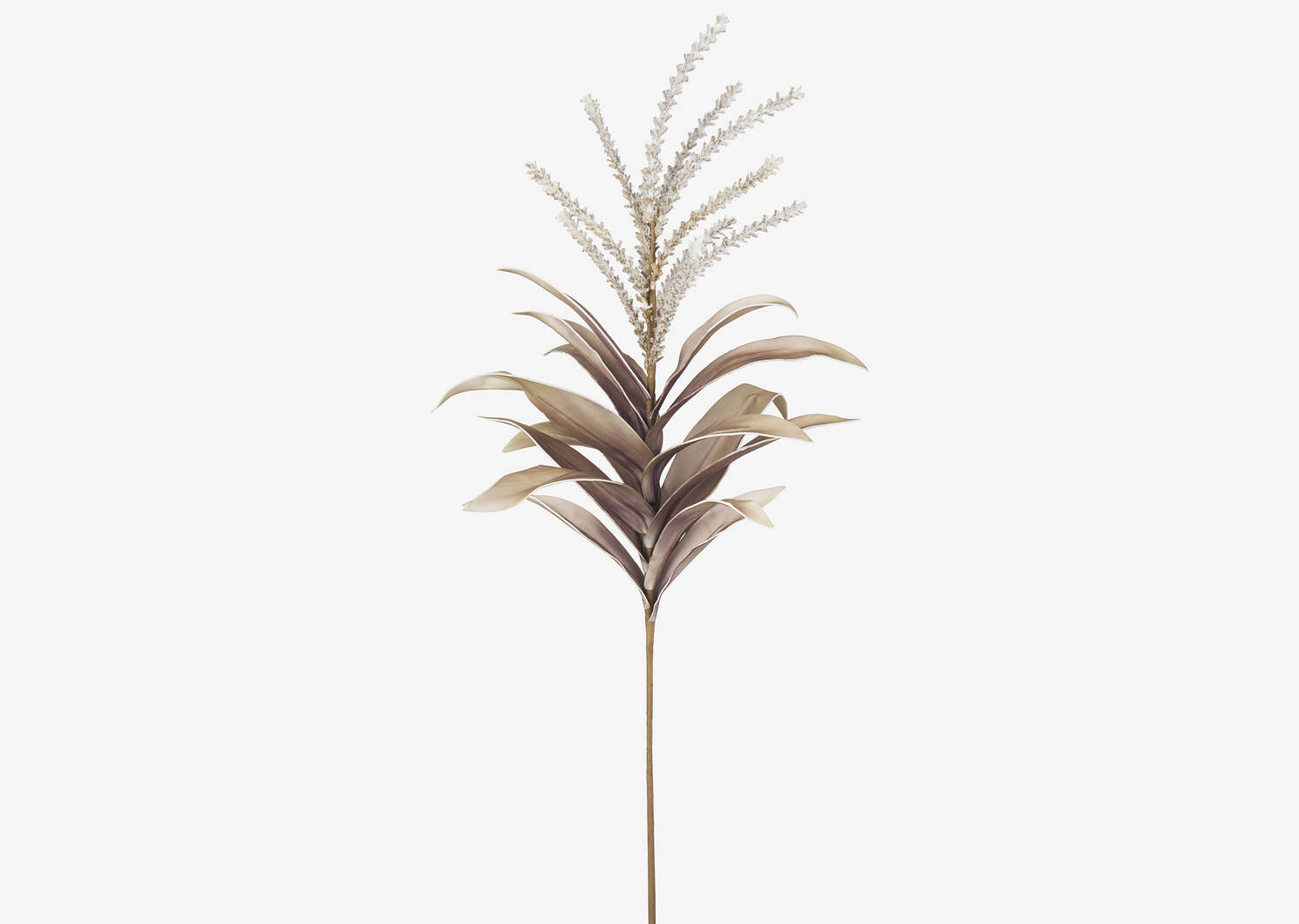 Tige de feuilles Viviana