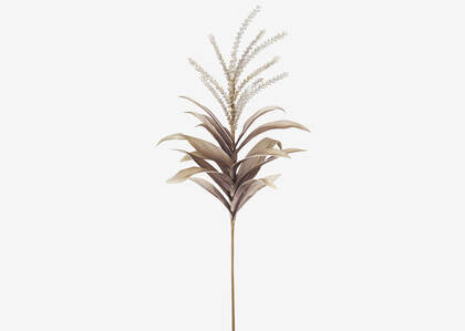 Viviana Leaf Stem