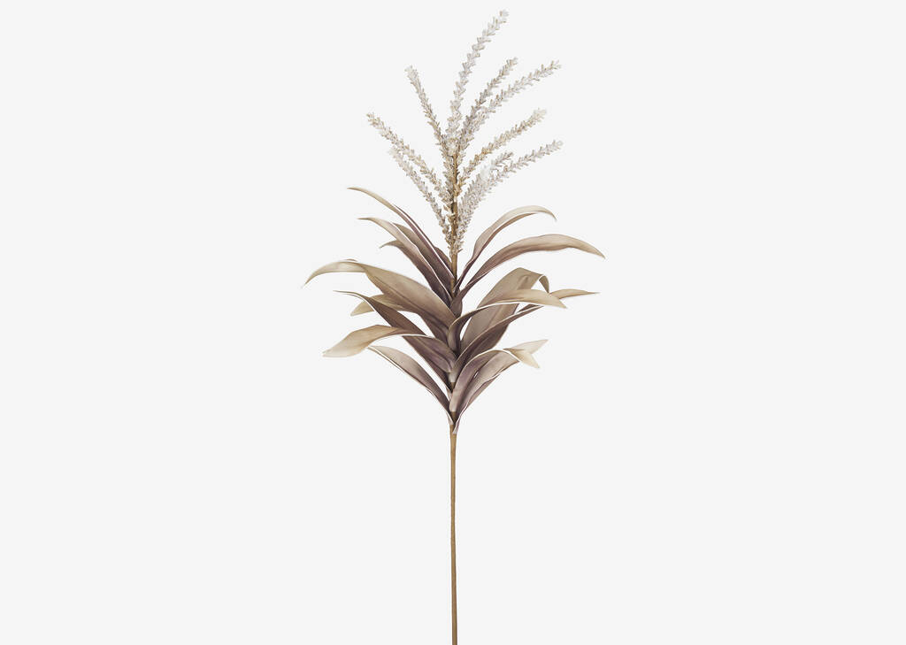 Viviana Leaf Stem