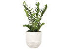 Manny Planter Small