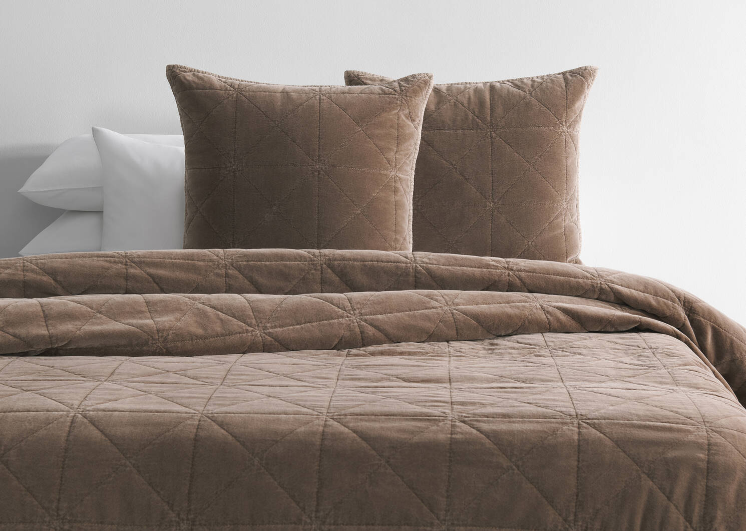 Joye Cotton Velvet Sham 24x24 Mushroom