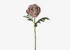 Sinay Peony Stem Ballet Pink