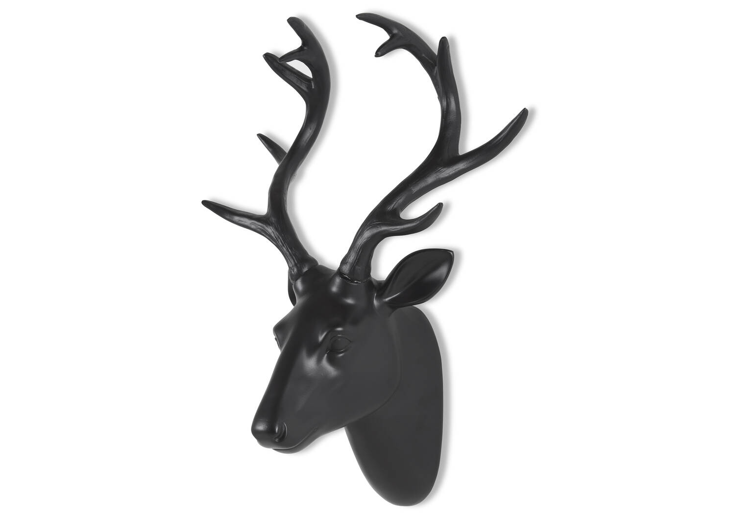Déco murale tête de chevreuil Brome
