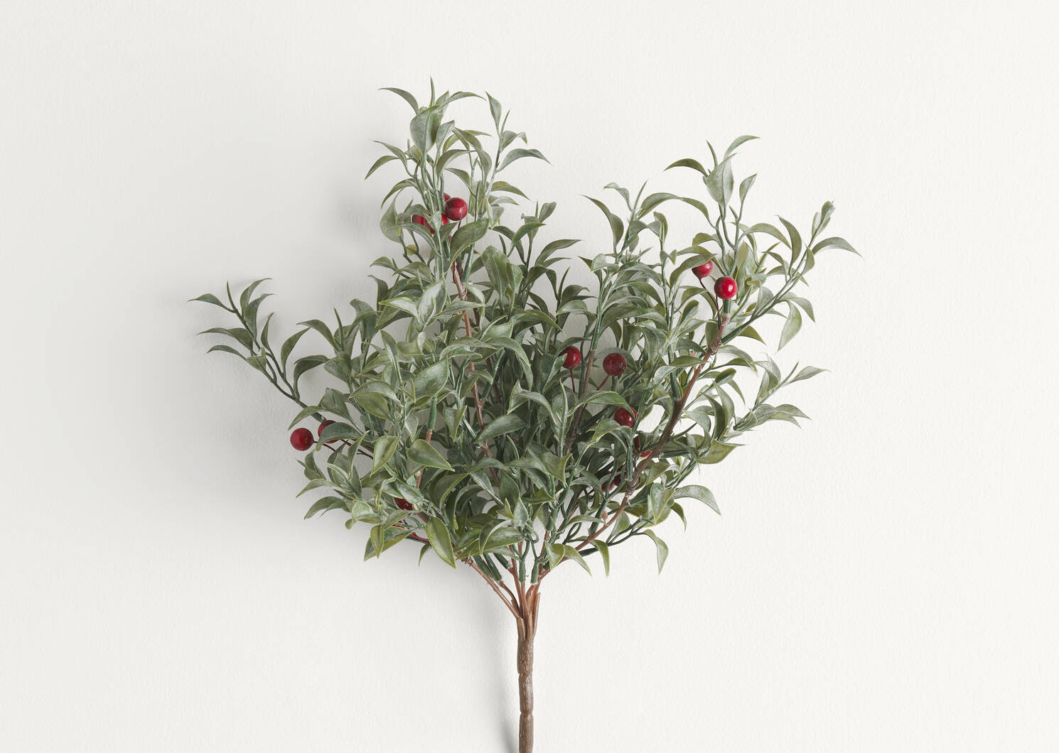 Winterberry Branch