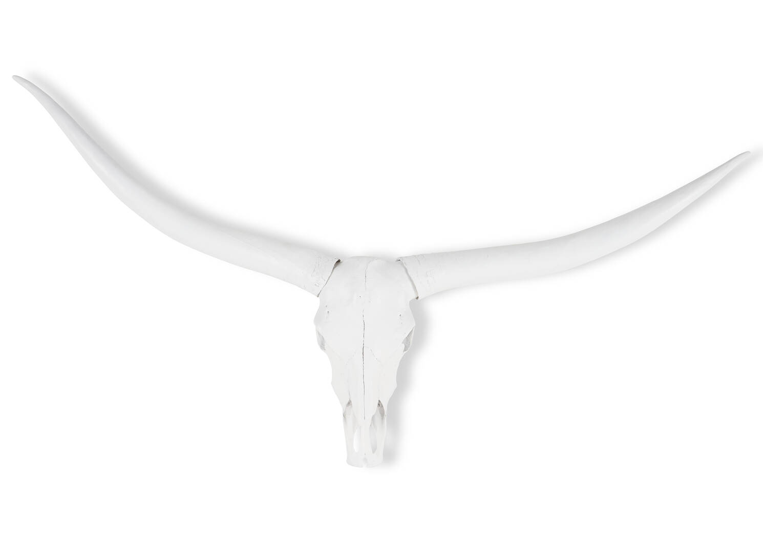 Jory Bull Skull Wall Decor