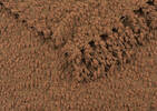 Colby Chenille Throw Caramel