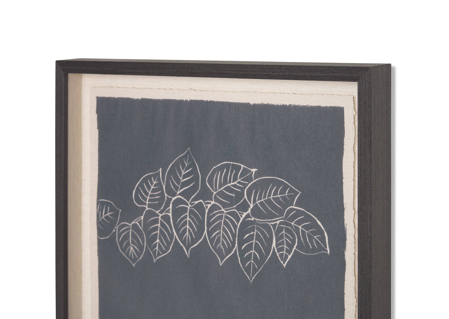 Japanese Knotweed Framed Print