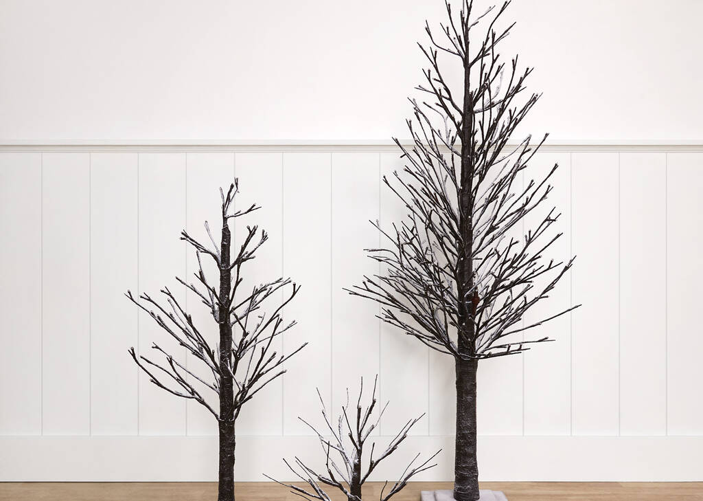 Starlight Trees Black