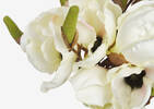 Bouquet de magnolias Louisa blancs