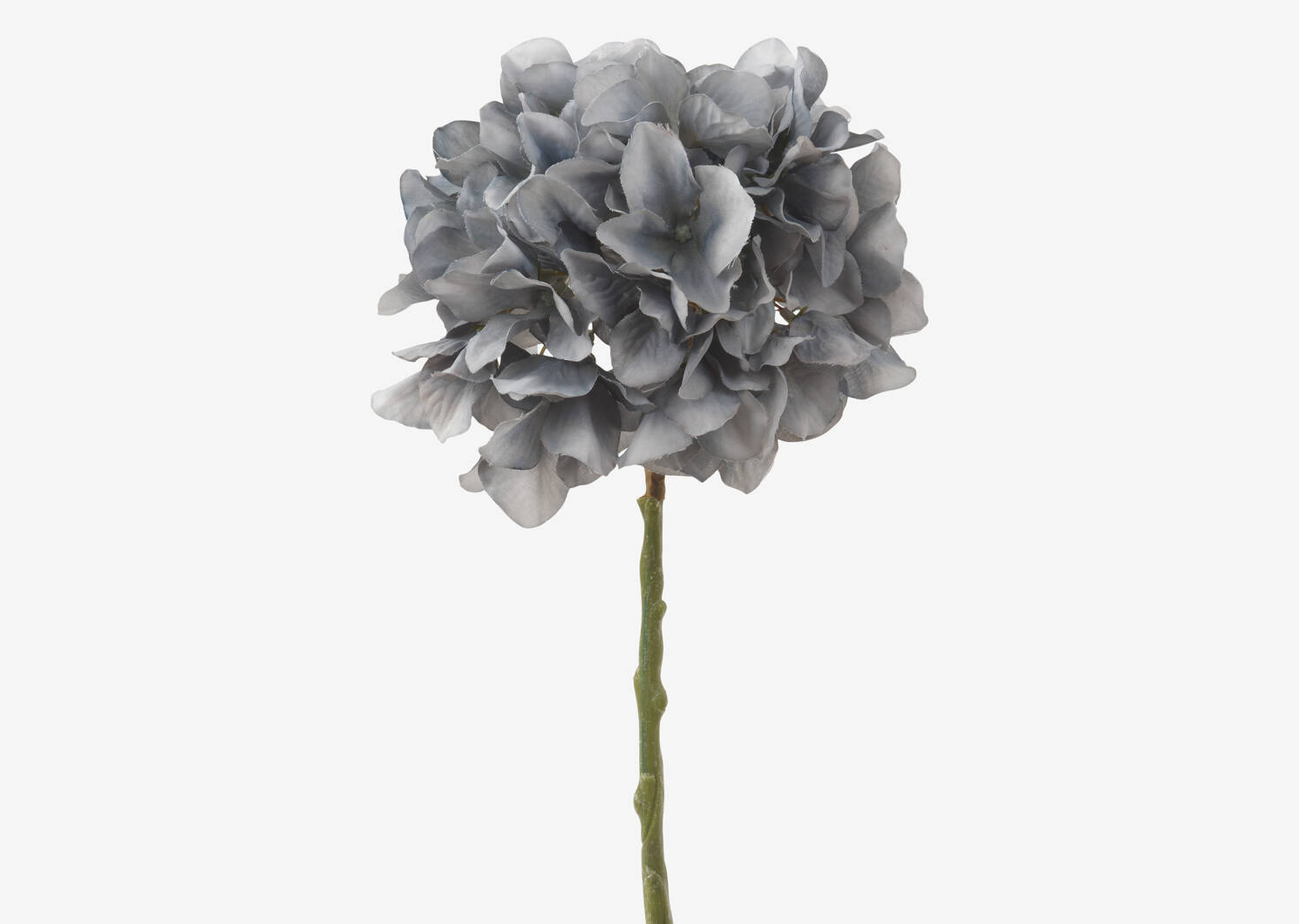 Shae Hydrangea Stem Grey