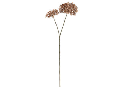 Dunne Allium Branch