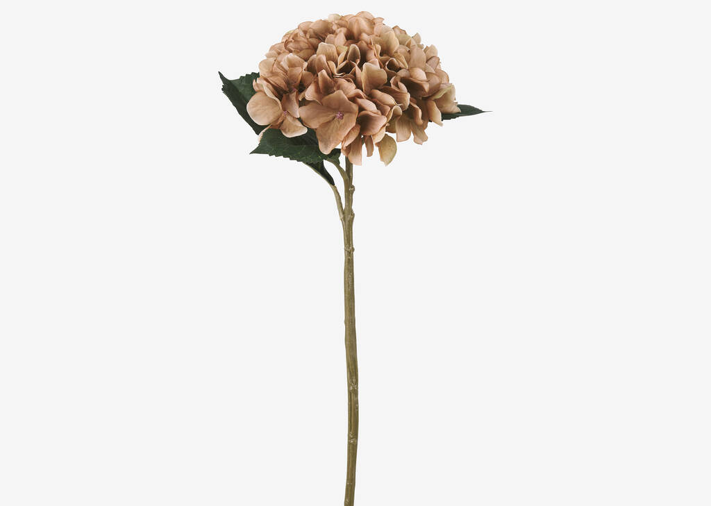 Luz Hydrangea Caramel