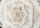Peony Paper Flower Wall Accent