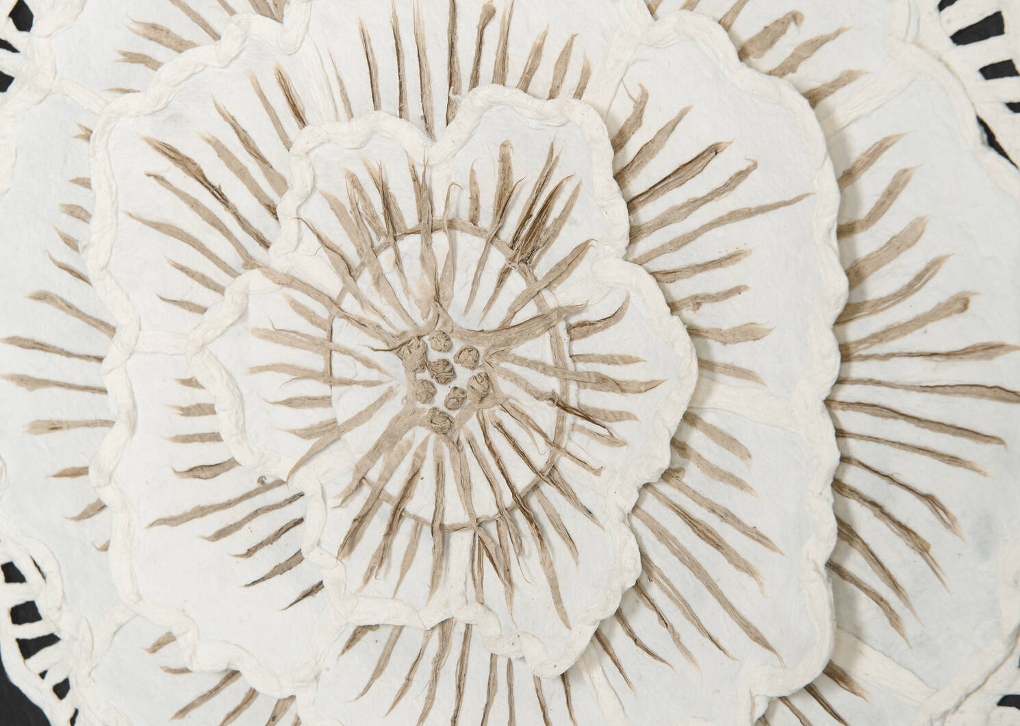 Peony Paper Flower Wall Accent