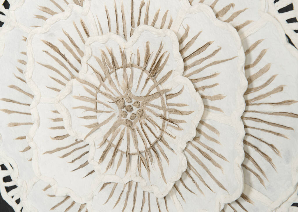 Tableau pivoine en papier Peony