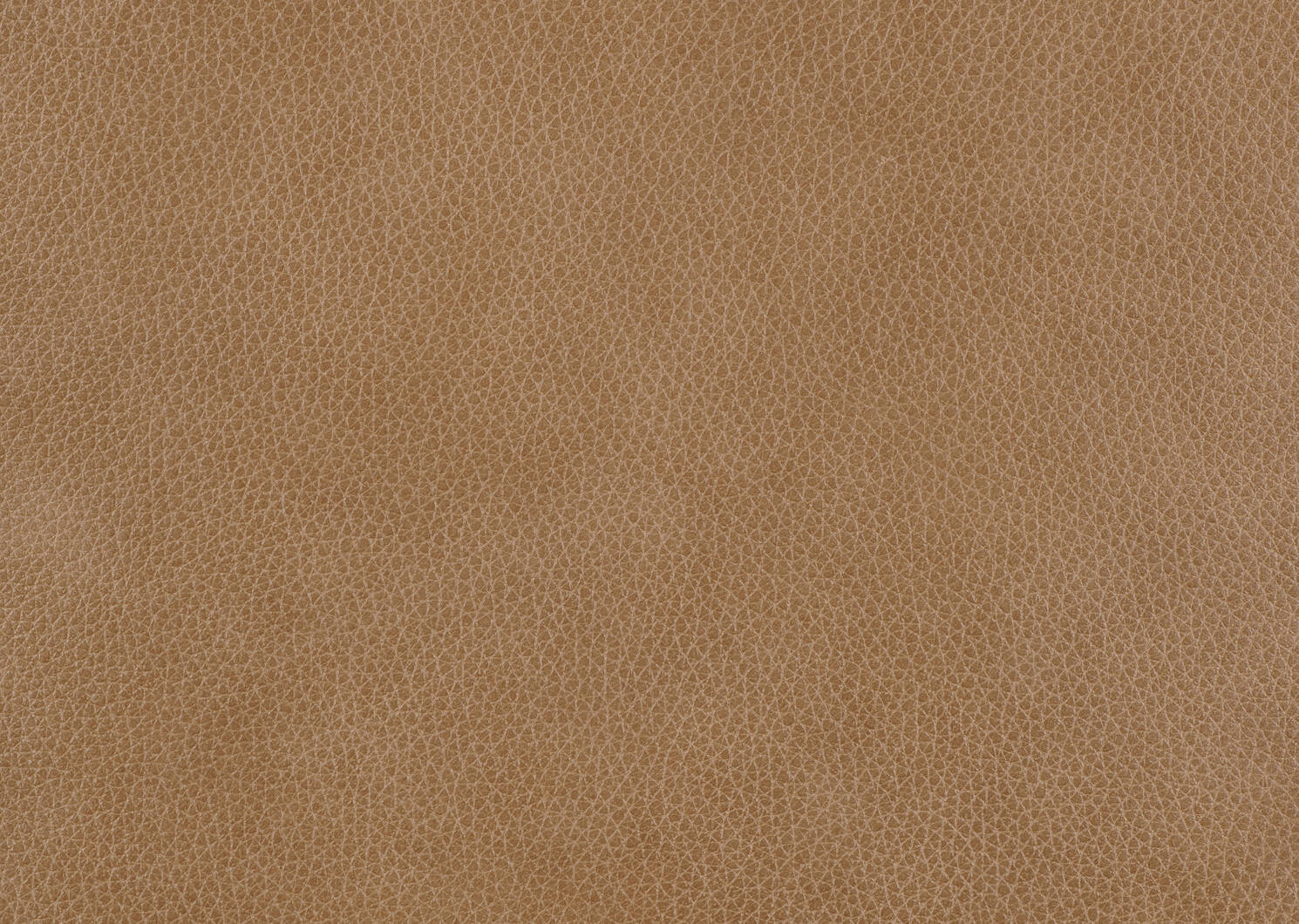 Ortega Dining Chair -Lakeshore Tan