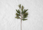 Irah Pinecone Pick