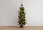 Flurry Tree 7FT Pre-Lit Green
