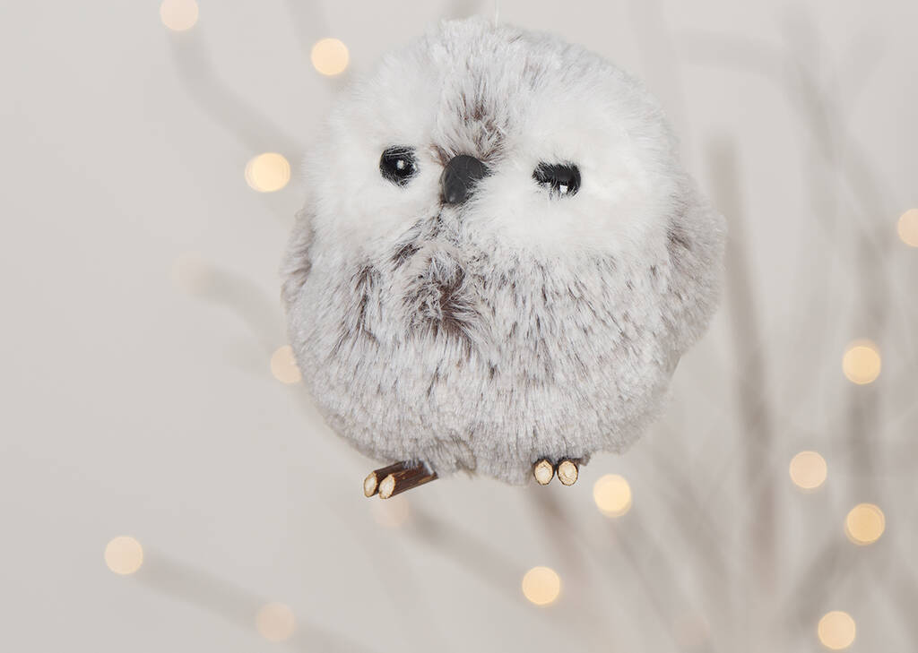 Hadwig Owl Orn