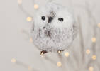 Hadwig Owl Orn