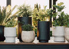 Mishka Outdoor Planter Large