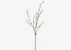 Jessa Pussy Willow Branch Red