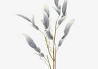 Zima Petals Branch Storm