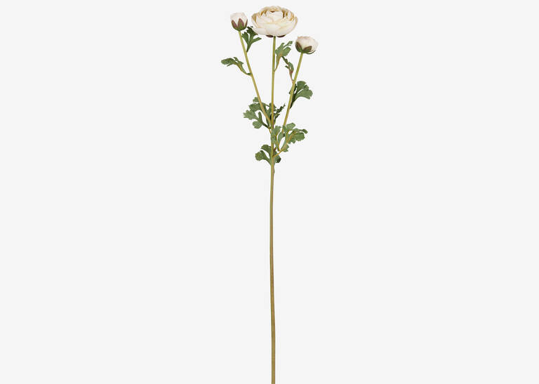 Helene Ranunculus Branch Ivory | Urban Barn