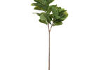 Joss Fiddle Leaf Tree Potted Large