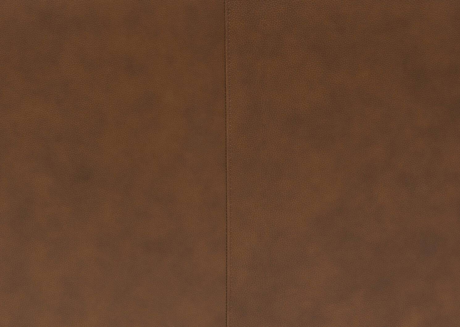 Reese Leather Reclining Sofa -Arlo Rum