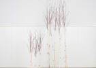 Illume Birch Branches 3ft