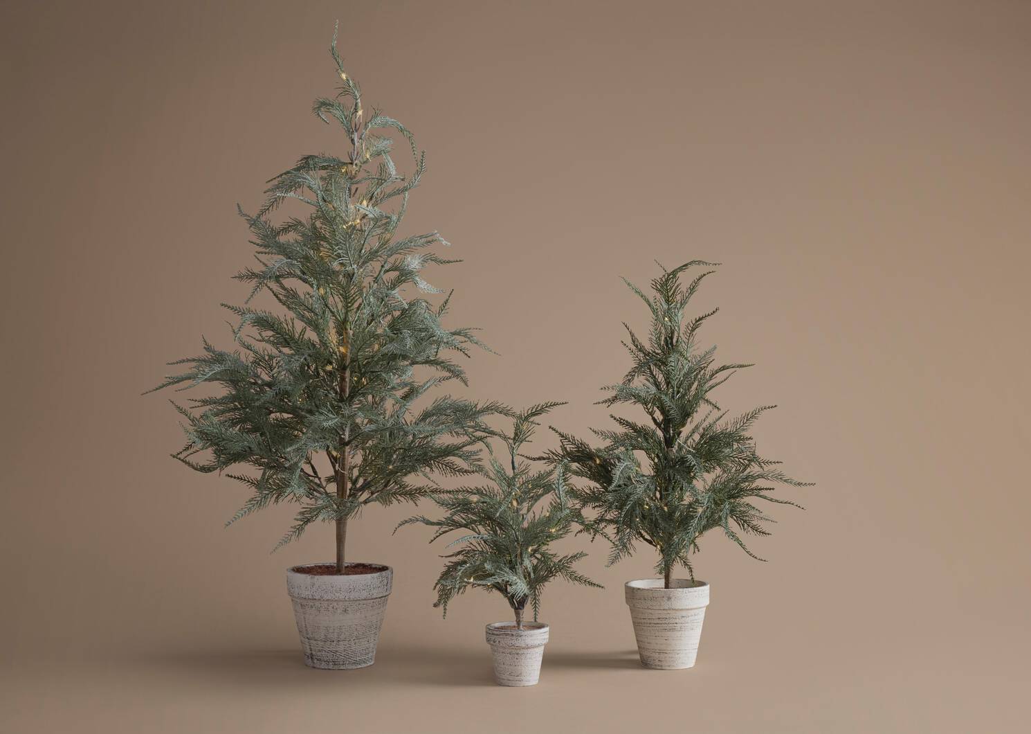 Wonderland Tree Small