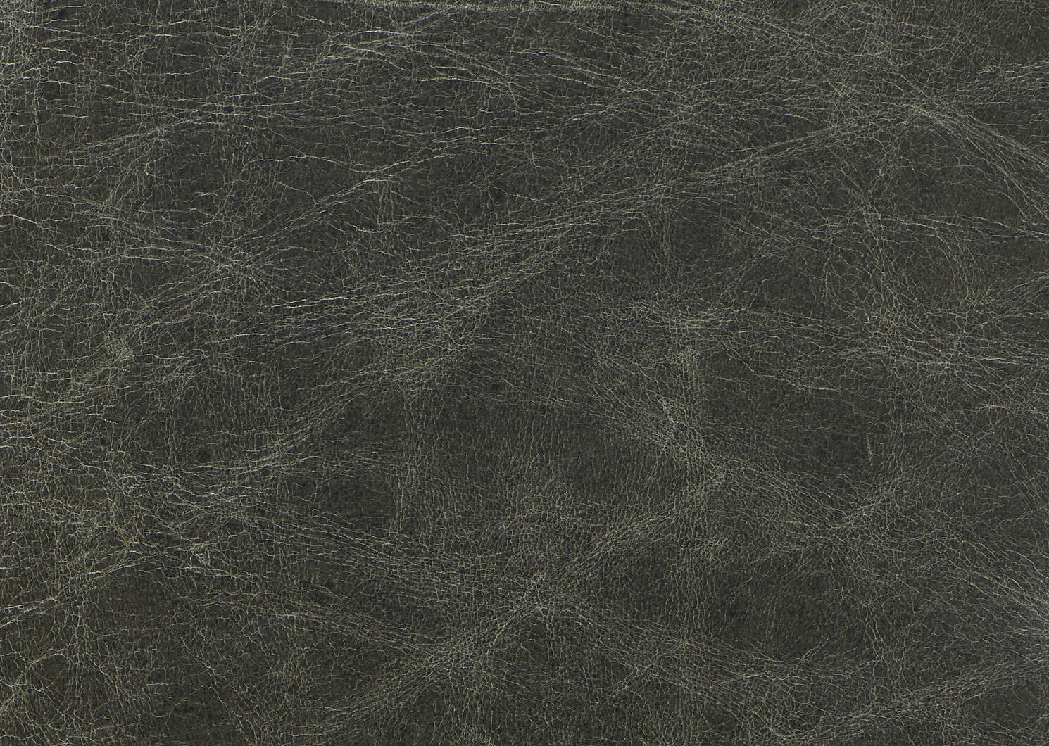 Fauteuil en cuir Savoy -Jasper graphite