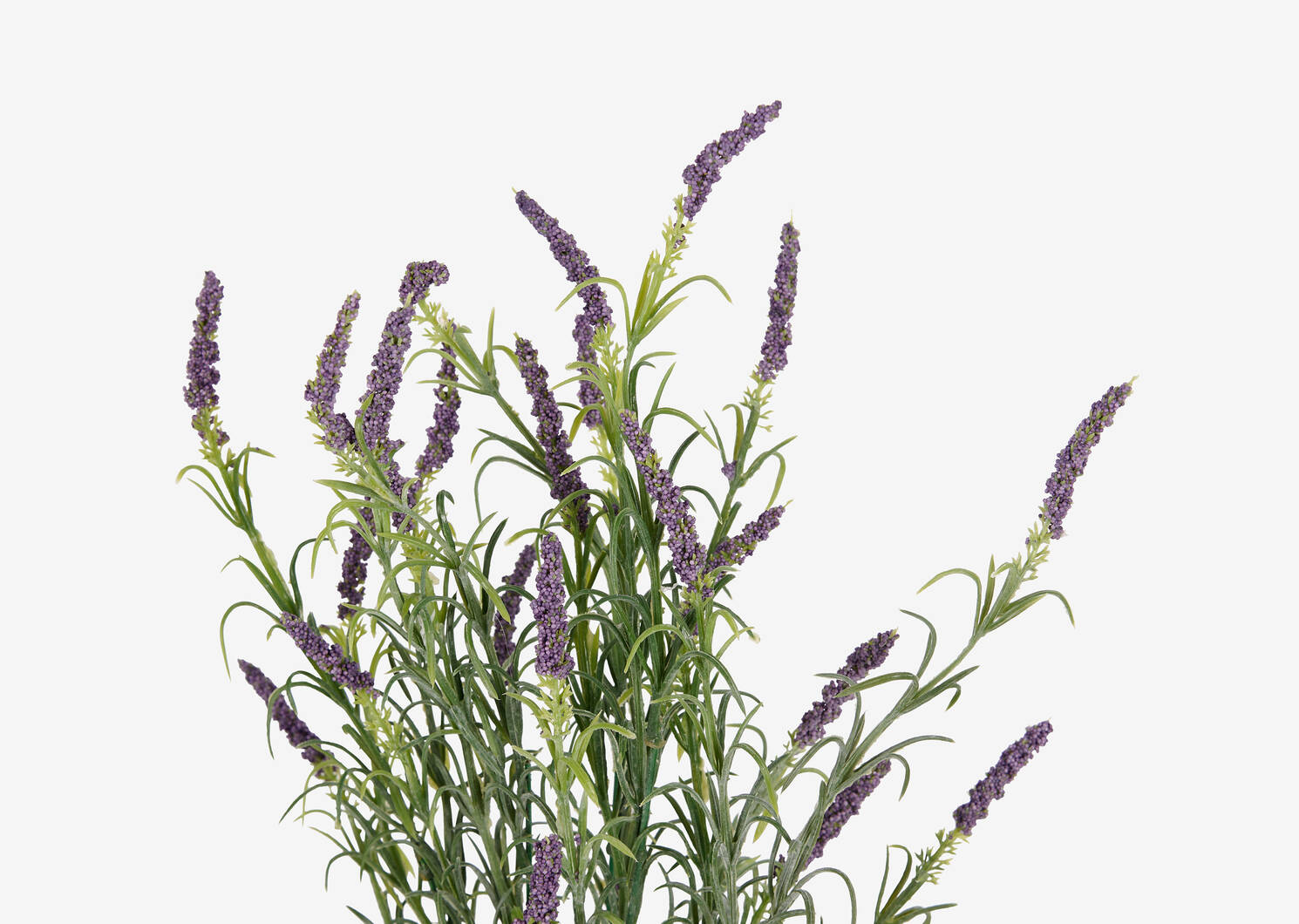 Aralyn Lavender Bunch