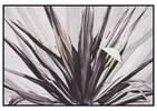 Frond Wall Art
