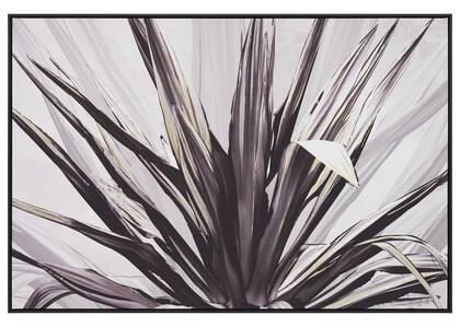 Frond Wall Art