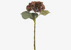 Adell Hydrangea Antique Brown