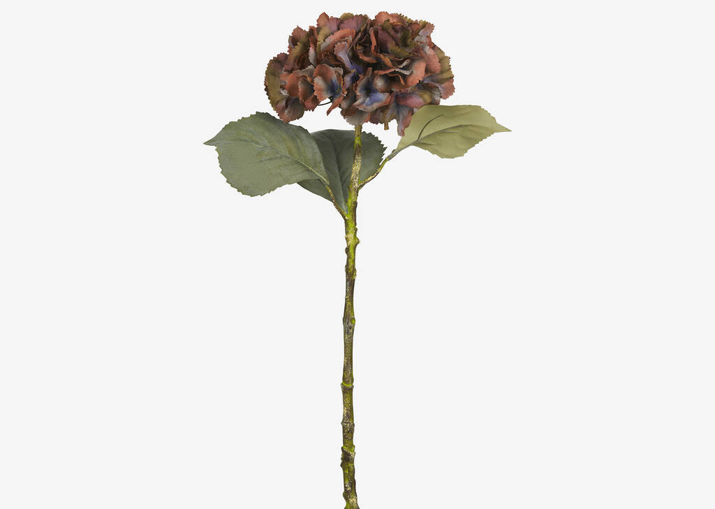 Adell Hydrangea Antique Brown