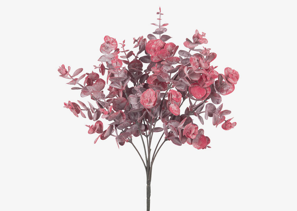 Iliana Leaf Bunch