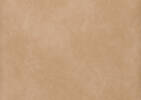 Murdoch Dining Chair -Allister Tan/Mink