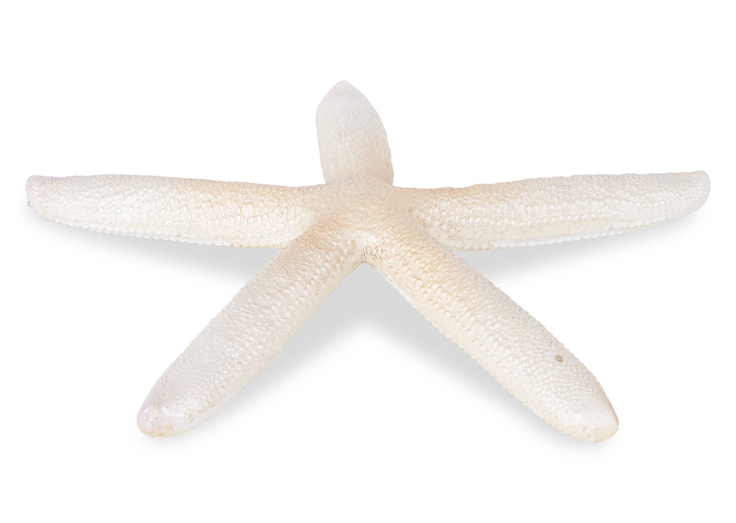 Estrela Starfish Decor