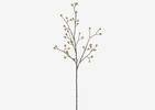 Branche de prunus Gail