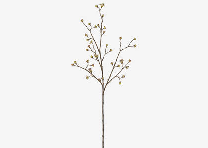 Gail Prunus Branch