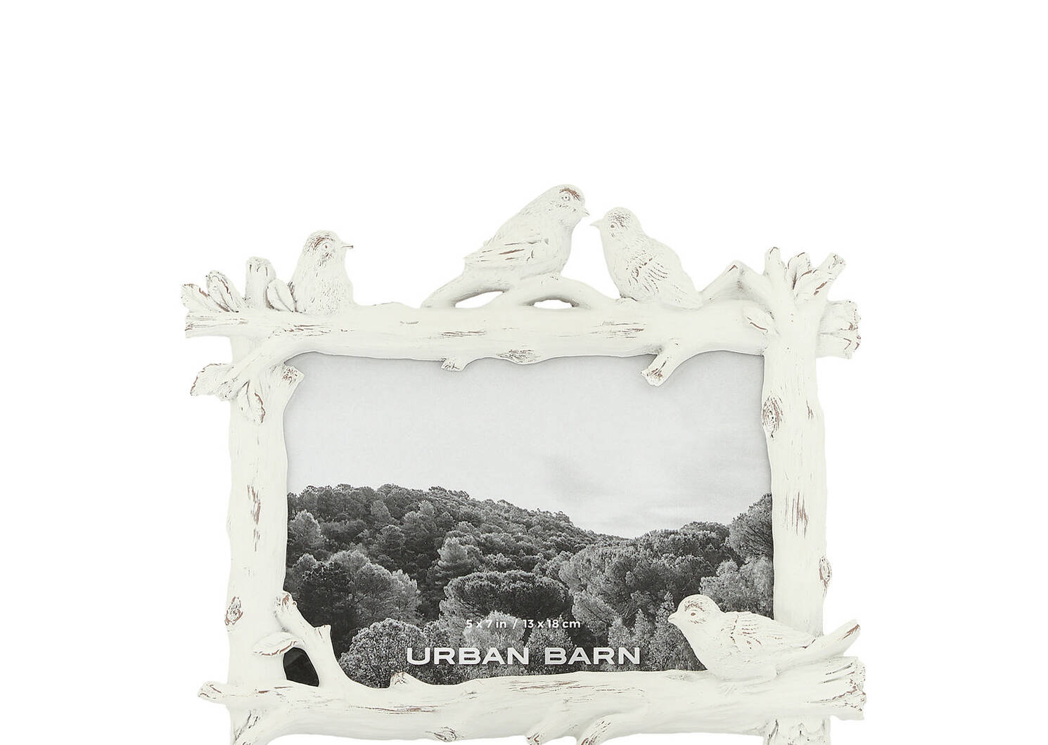 Sparrow Frame 5x7 White