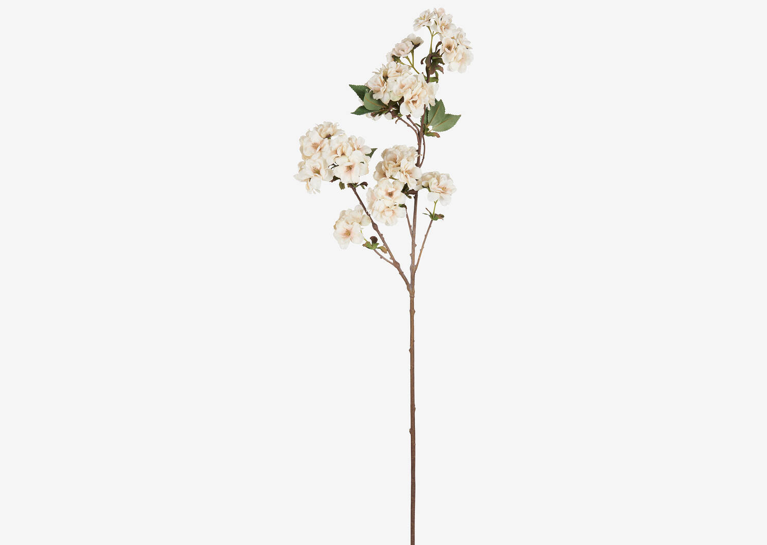 Tige de fleurs de cerisier Kya ivoire