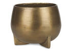 Novah Planters Gold