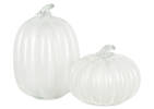 Pacey Pumpkin Small White